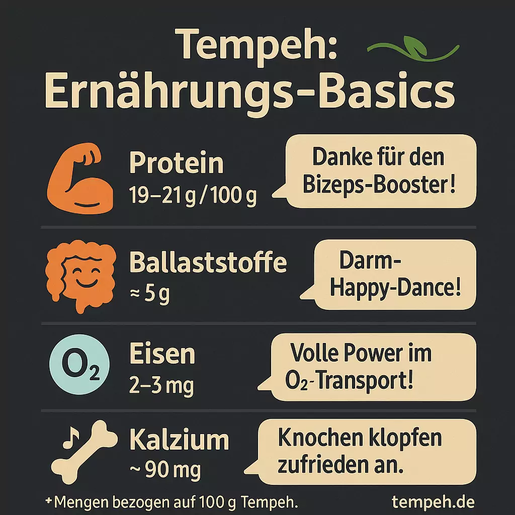 Infografik: Tempeh‑Ernährungs‑Basics – Protein (19–21 g), Ballaststoffe (≈ 5 g), Eisen (2–3 mg) und Kalzium (≈ 90 mg) pro 100 g – spielerisch dargestellt.