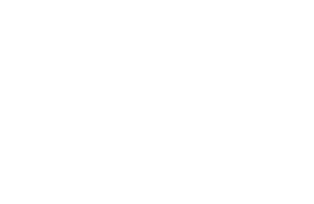 Logo von BUMI